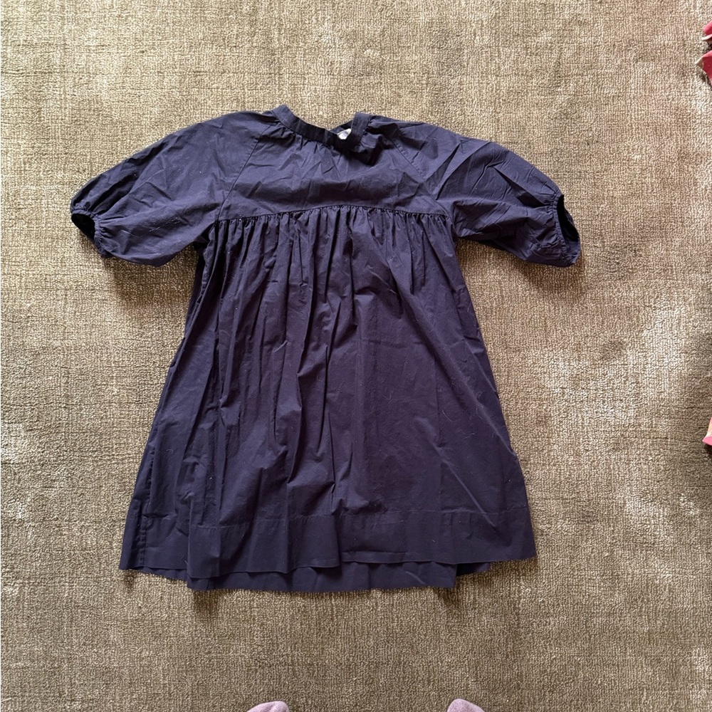 Everlane Women's Mini Dress - Dark Purple